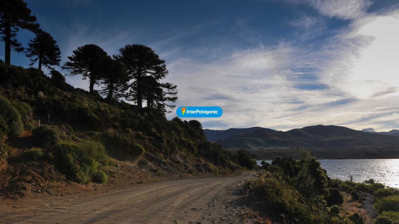 Camino a Huechulafquen - Jun�n de los Andes