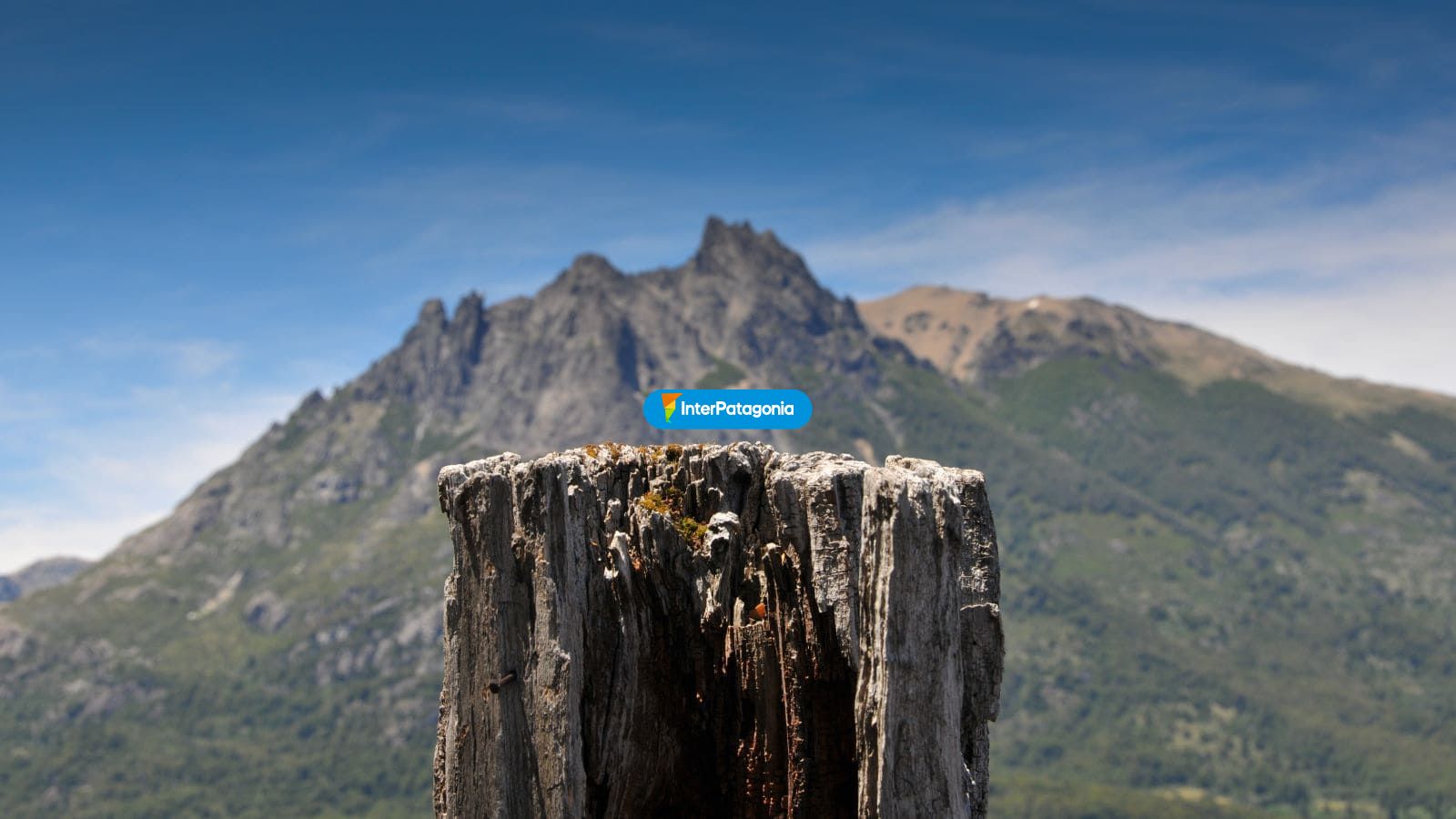 Postal cerro de fondo - Jun�n de los Andes