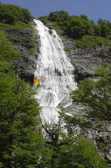 Cortina de agua que se desliza sobre un gran macizo rocoso - Junn de los Andes