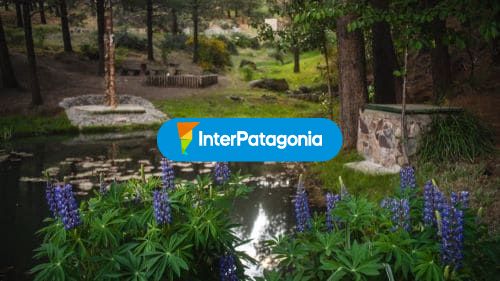 Laguna y flora