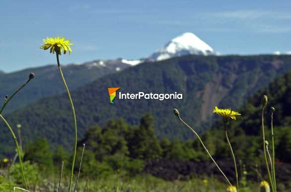 Primeros planos - Junn de los Andes