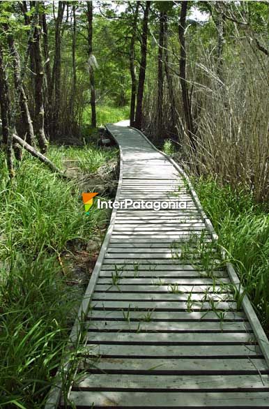 Pasarelas para llegar a los pozones naturales de las Termas de Lahuen C - Junn de los Andes