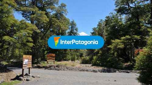 Parque Nacional Lanín