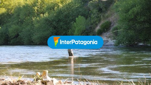 Pesca en el Huechu