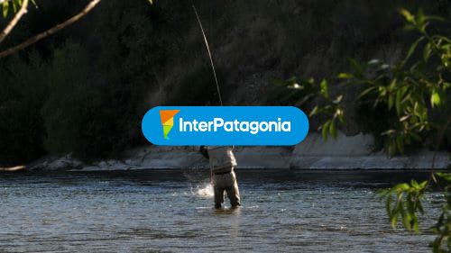 Pesca