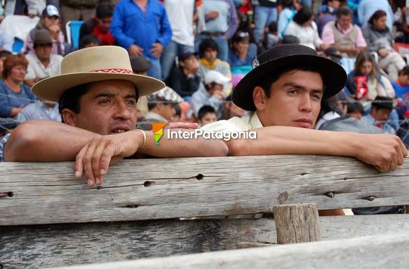 Espectculo regional - Junn de los Andes