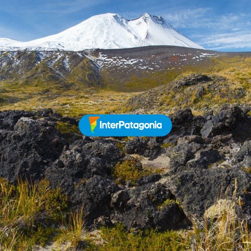 Observación flora y fauna