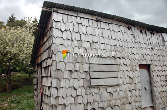 Patagonian cypress tiles - Lago Verde