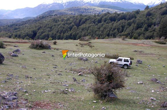 Sector La Tapera, valle del ro Cisnes - Lago Verde