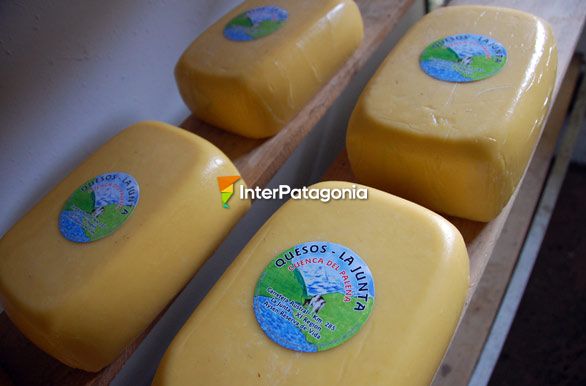 Cheese from the Palena Basin - La Junta
