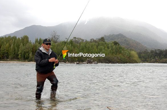 Paisaje lacustre, Lago Rosselot - La Junta