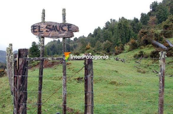 Camino a las termas - La Junta