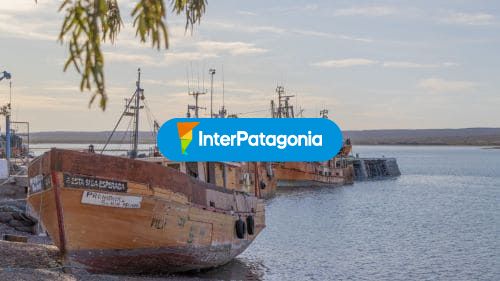 Barcos