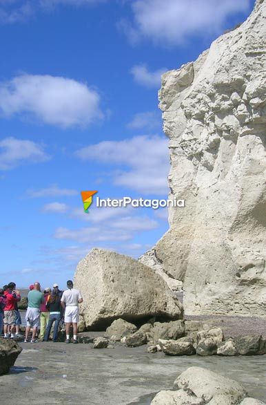 Excursin por la playa - Las Grutas / San Antonio Oeste