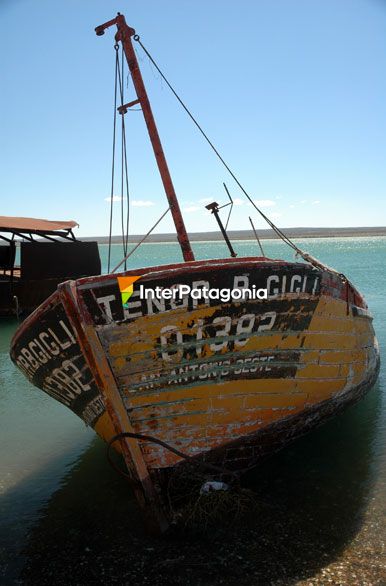 Sumergidos en la marea - Las Grutas / San Antonio Oeste