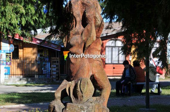 Maderas nativas - Llanquihue