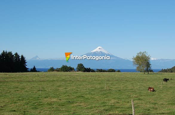 Volcn Osorno - Llanquihue