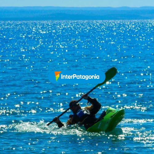 Kayak