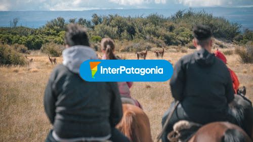 Cabalgatas buen samaritano