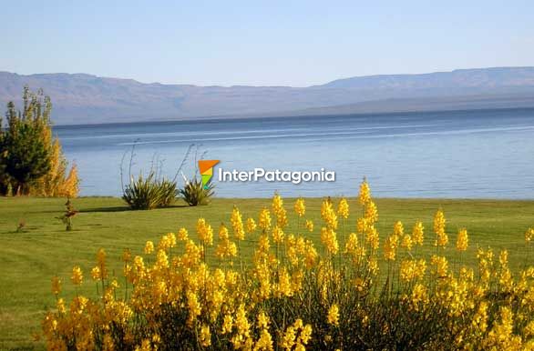 Desde la costa de la hostera Antigua Patagonia - Los Antiguos