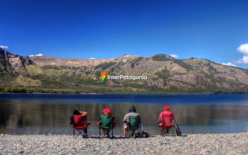 Un cuarteto feliz - Villa Lago Meliquina