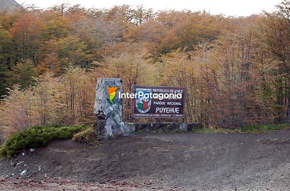 Paso Cardenal Samor - Osorno