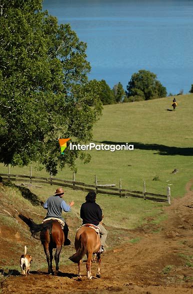 Cabalgata en Entre Lagos - Osorno