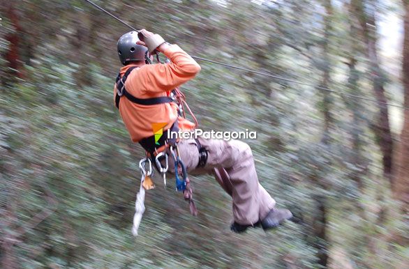 Canopy en Puyehue - Osorno