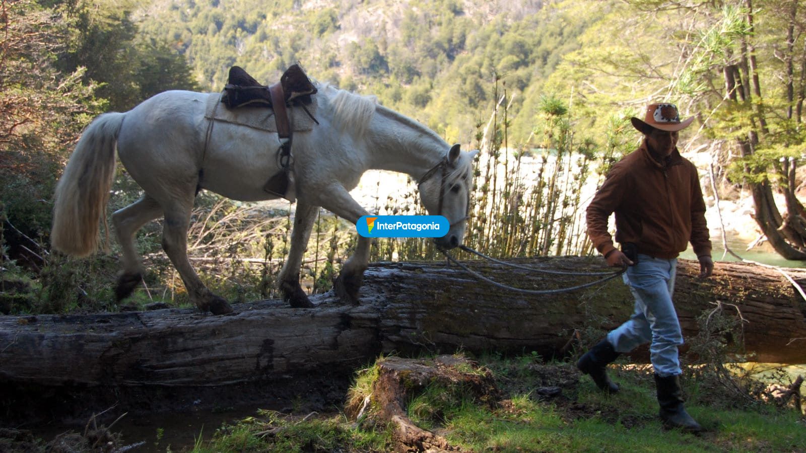 Con su caballo - Alto Palena