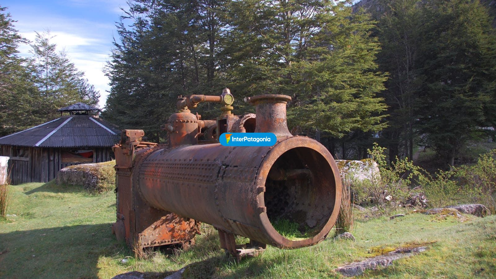 Can antiguo - Alto Palena