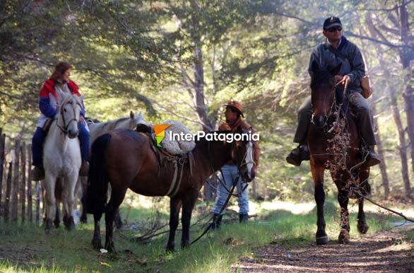 Horseriding at Palena