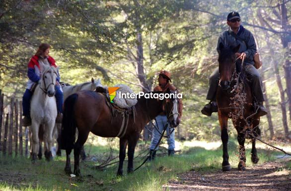 Cabalgata en Palena - Alto Palena