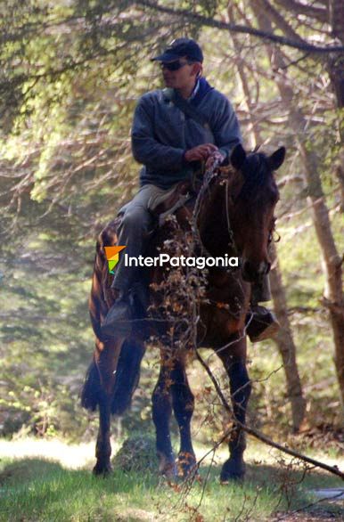 Ruben cabalgando - Alto Palena