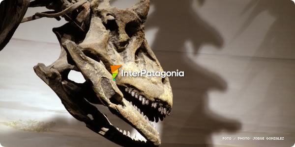 Dinosaurios de la Patagonia Argentina