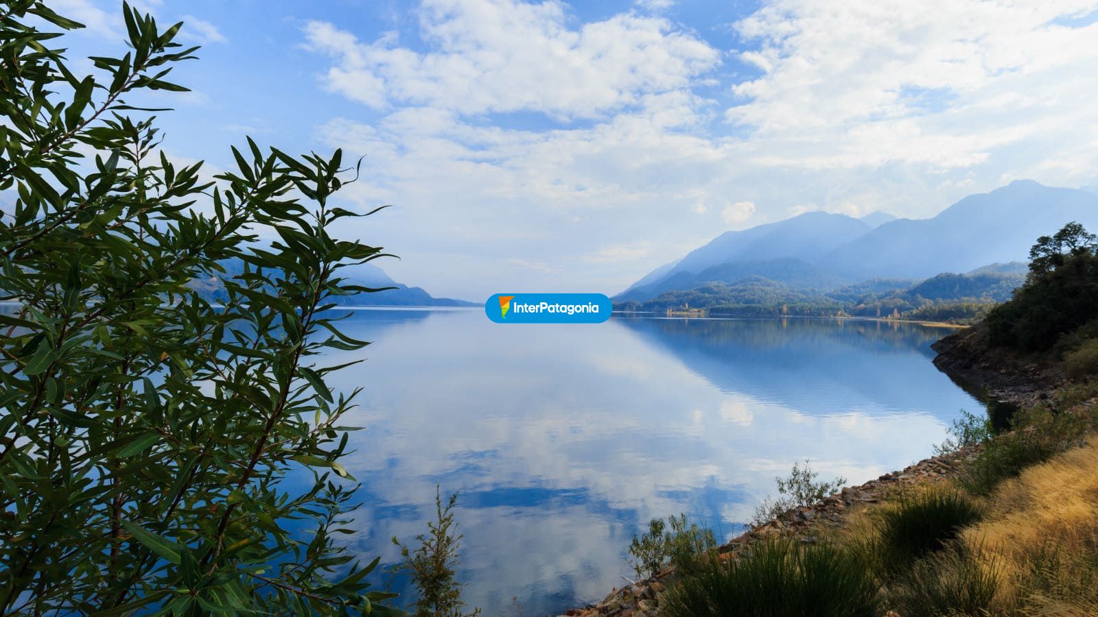 Campo y lago - Panguipulli