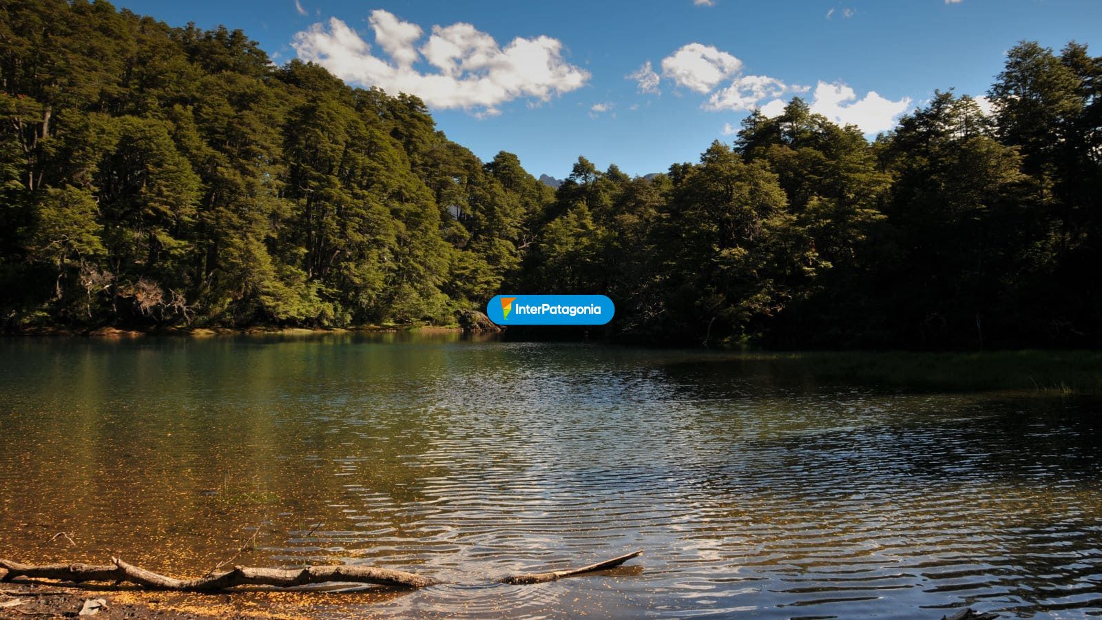 Laguna del Toro - Panguipulli