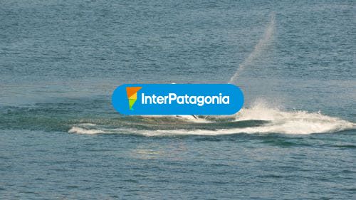 Actividades acuaticas