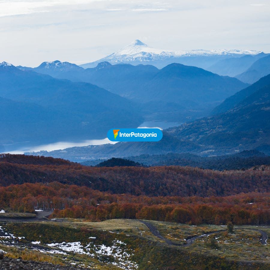 Oto�o en P.nacional Choshuenco - Panguipulli