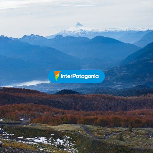 Otoño en P.nacional Choshuenco