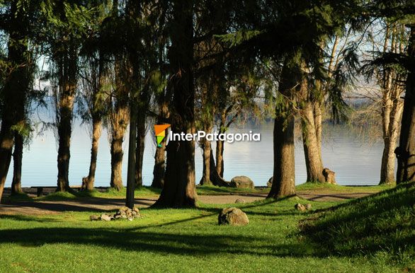 Costa del Lago Calafqun - Panguipulli