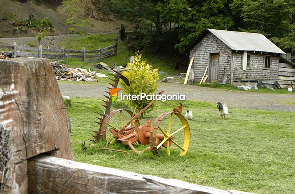 Fundo de las Termas de Vergara - Panguipulli