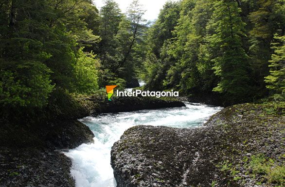 Saltos del Huilo Huilo - Panguipulli