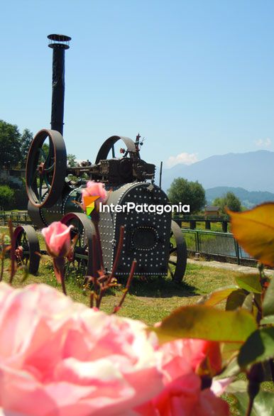 Paseo de la costanera - Panguipulli