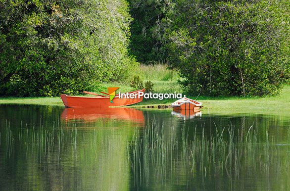 Postal del lago - Panguipulli