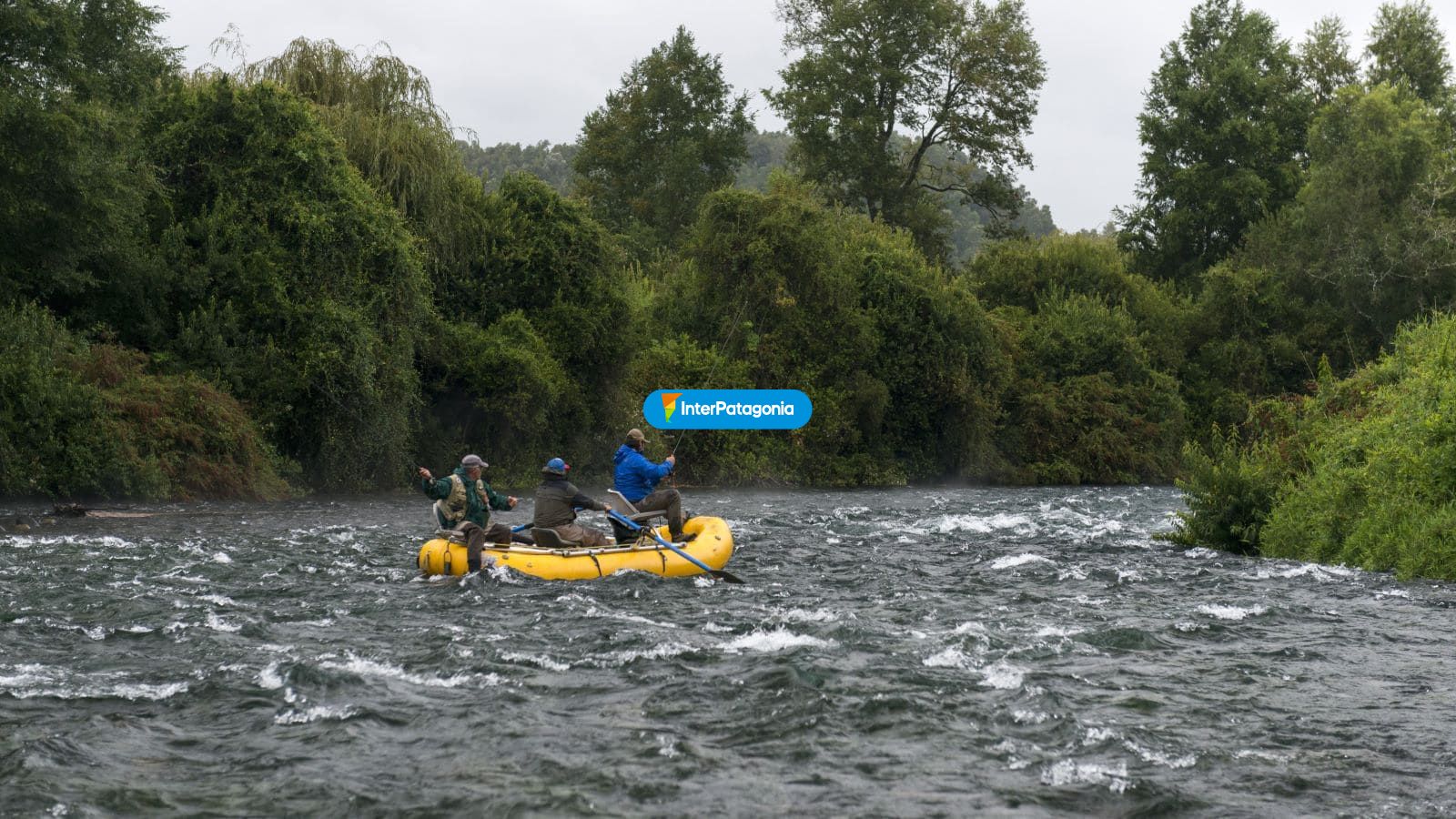 Pesca en el ro - Panguipulli
