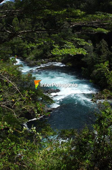 Aguas cristalinas - Panguipulli