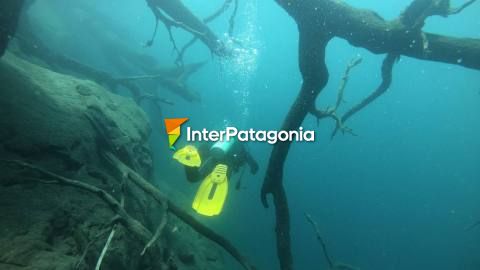 Buceo en el lago Correntoso