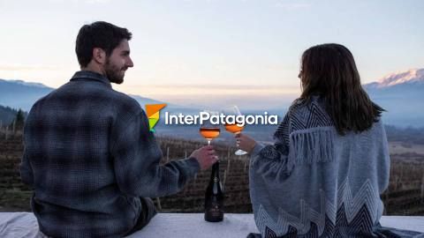 Patagonian Wines: un viaje sensorial