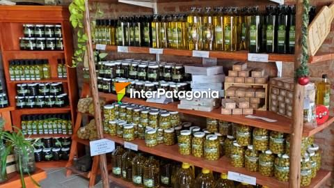 Olive oil in San Antonio Oeste