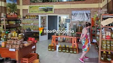 Olive oil in San Antonio Oeste